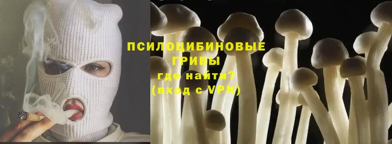 маркетплейс состав  Костерёво  Галлюциногенные грибы Magic Shrooms 